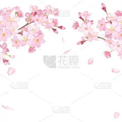 边框,春天,樱桃树,绘画插图,花瓣,矢量,水彩画,拱门,花,落下
