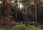 俄罗斯伊凡·伊凡诺维奇·希施金(Ivan I. Shishkin)树林油画作品二