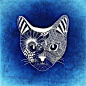 Cat, Abstract, Background, Funny