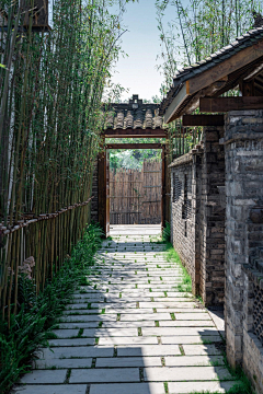 跳跳糖~植物Ren采集到空间感受