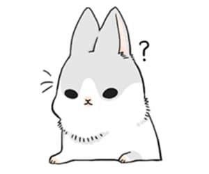 其中包括图片：