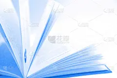 打开的书页的特写