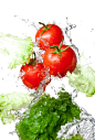 新鲜蔬菜大全图片png免抠元素背景素材青菜田园果蔬