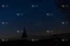 白雪皑皑的夜空下的松树