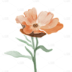 大白T采集到花