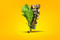 Consul vegetables : 3D characters of fruits and vegetables for a refrigerator company advertising.