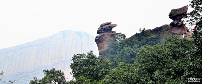 无石不龟的龟峰胜景作业贴