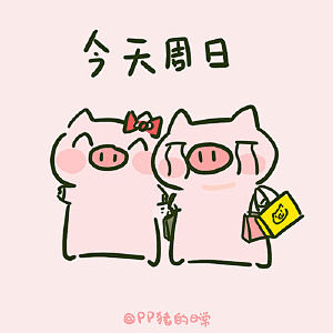 PP猪的日常的微博_微博
