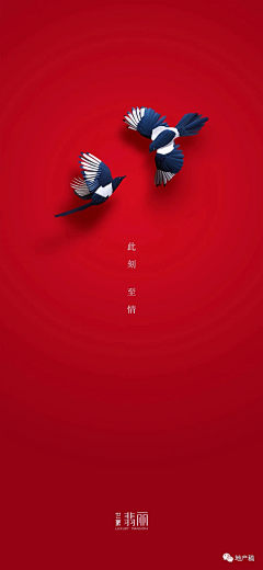 筱/采集到七夕活动