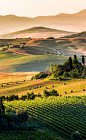 The rolling hills of Tuscany | Italy Landscape Photos, Landscape Photography, Nature Photography, Travel Photography, Tuscany Italy, Italy Italy, Sorrento Italy, Capri Italy, Naples Italy