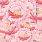 牡丹花