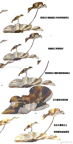 选择性冲冲采集到画法