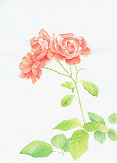 独木舟妆采集到水墨插画