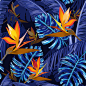 四方连续纹样,热带的花,蓝色,纺织品,夜晚,无人,绘画插图,热带雨林,夏天,棕榈树
