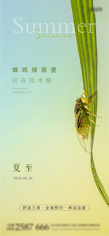 夏至海报-源文件