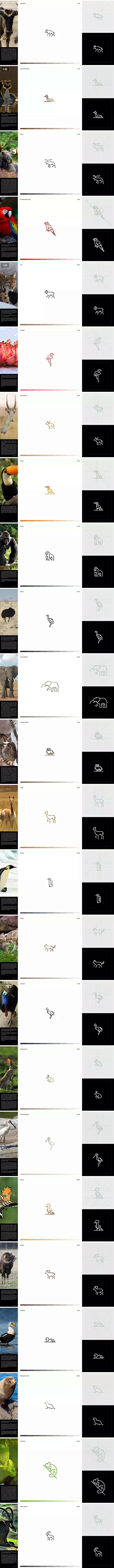 30天与30个象形文字动物创意Logo-...