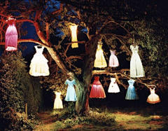 十里平湖_采集到tim walker