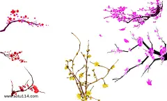 梅花 桃花 节气风