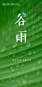 谷雨 (3)