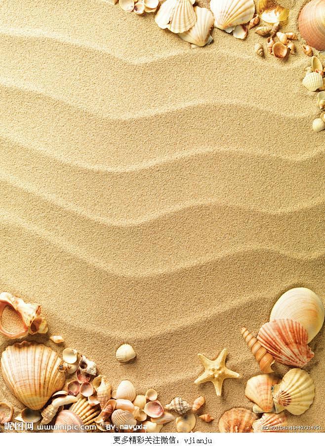 沙滩 贝壳 海螺 海星 摄影交流QQ群：...