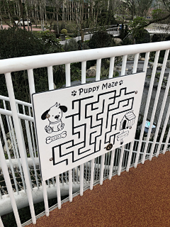 静t静采集到小品