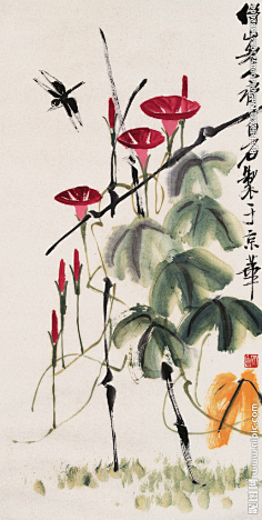 齐白石-花瓣网|陪你做生活的设计师 | 【齐白石国画 ---- 牵牛花蜻蜓