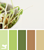 Design Seeds® | for all who ❤ color