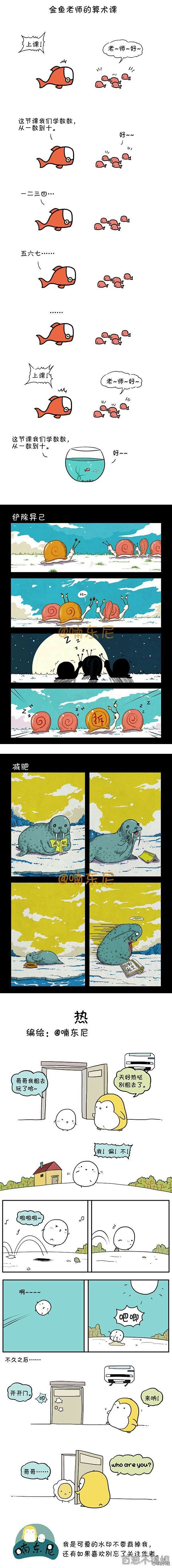 搞笑的动物们