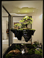 室内，仿真，悬浮岛，来了！#生活美学 #室内植物软装 - 小红书