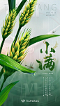 小满节气