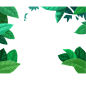 @冒险家的旅程か★
png透明背景素材  png绿色植物树叶树木 海报合成植物前景素材