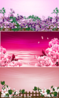 花卉 紫色背景 粉红背景 牡丹 栅栏 花瓣 水波纹 绿叶 蝴蝶