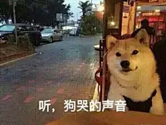 有哪些你见过最恶毒的表情包? - 知乎 : 有问题，上知乎。知乎，可信赖的问答社区，以让每个人高效获得可信赖的解答为使命。知乎凭借认真、专业和友善的社区氛围，结构化、易获得的优质内容，基于问答的内容生产方式和独特的社区机制，吸引、聚集了各行各业中大量的亲历者、内行人、领域专家、领域爱好者，将高质量的内容透过人的节点来成规模地生产和分享。用户通过问答等交流方式建立信任和连接，打造和提升个人影响力，并发现、获得新机会。