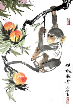 糖包露馅采集到兽