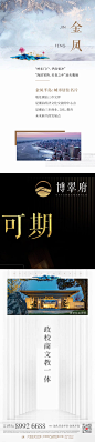 金科