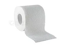 Toilet paper isolated