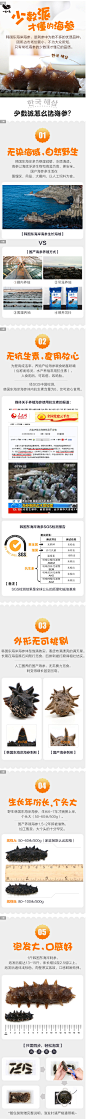 一天一头250g韩国海参原产地进口媲美大连辽参野生淡干货刺参礼盒-淘宝网