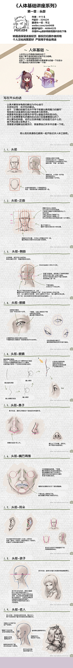 风来得时候采集到人体基础知识讲解