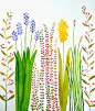 colorful garden original watercolor от zuhalkanar