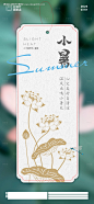 编号：20230626093237438【享设计】源文件下载-小暑荷花书签节气海报