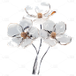 通用3D透明花束花朵元素贴纸