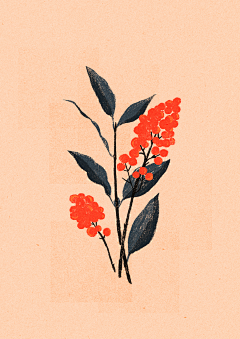 Nangong小小夕采集到花卉