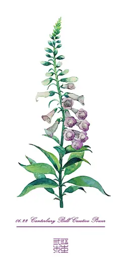 #365 Days Birthday Flowers#06.22 生日花：风铃草（Canterbury Bell）