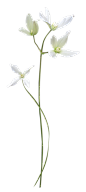 1197280848.png