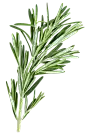 喜提地球：植物 水果