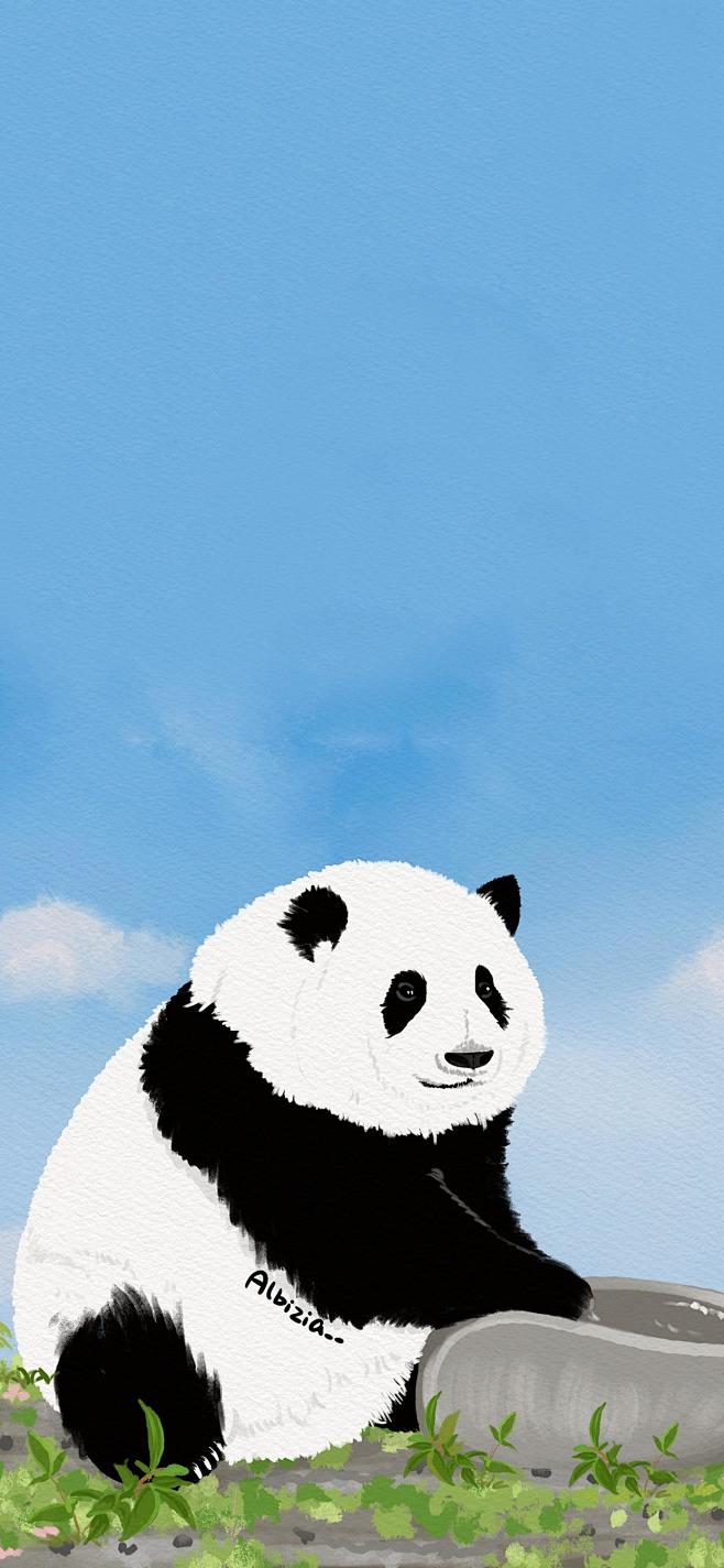 可爱熊猫插画壁纸，花花果赖-今日头条