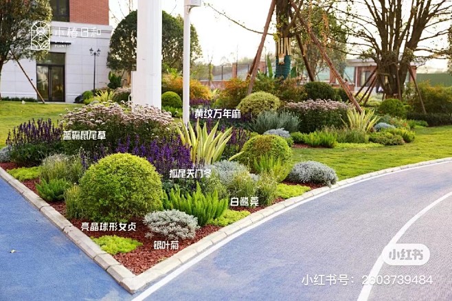 全日照花境