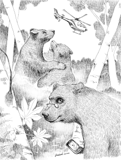 尼尼微1982采集到三只熊