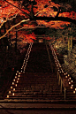 Muro-ji Temple，Japan