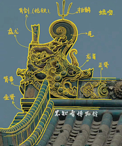 半耳文竹采集到最喜欢的那些图